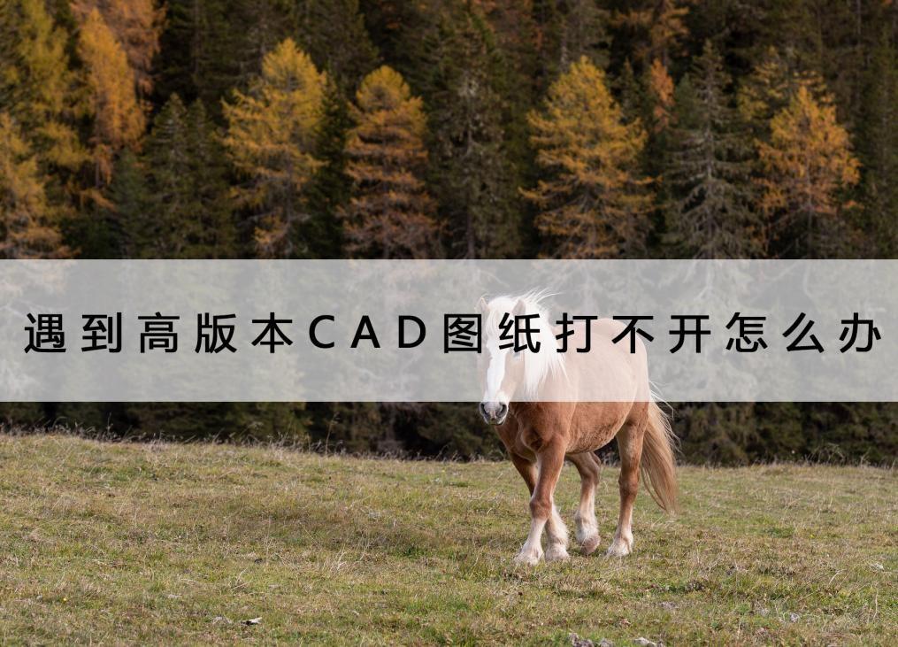 cad无法识别的版本不能读取文件（cad无法读取的版本解决方法）